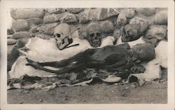 Excavated Skulls and Body Unidentified People Postcard Postcard Postcard