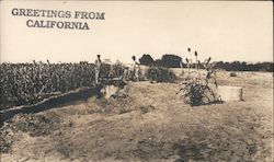 Greetings from California Postcard