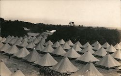 Dozens of tents in rows Postcard