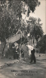 Two men playing croquet. Greetings from California Postcard Postcard Postcard