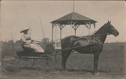 Woman drives a horse-drawn cart near a gazebo Unidentified People Postcard Postcard Postcard