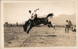 Man riding a bucking bronco Postcard