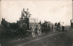 People with Wagons, Donkeys, Horses Postcard