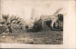 Buggy, Palms, Home Postcard