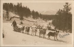 A fine Atlin Dog Team Dogs Taylor Postcard Postcard Postcard