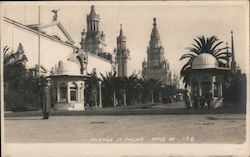 Avenue of the Palms, PPIE 1915 Postcard