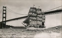 "Danmark" Under Golden Gate Bridge Postcard