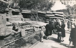 Bear Exhibit - Fleishhacker Zoo Postcard