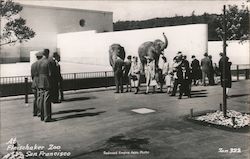 At Fleishaker Zoo Postcard