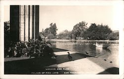 Lagoon and Park, Palace of Fine Arts San Francisco, CA Postcard Postcard Postcard