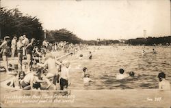 Fleishhacker Pool - Largest warmed pool in the world San Francisco, CA Postcard Postcard Postcard