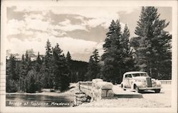 Bridge at Tuolumne Meadows Postcard