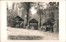 Kamp Kidd - Oakland Recreation Department Postcard