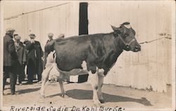 Riverside Sadie De Kohl Burke Postcard