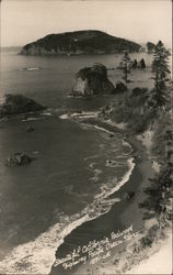 Beautiful California Redwood Highway Pacific Ocean Postcard