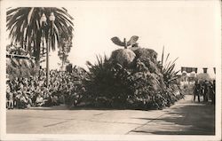 Float, Tournament of Roses Parade Postcard