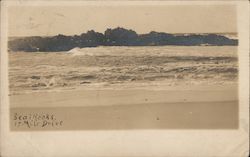 Seal rocks 17 Mile Drive Pacific Grove, CA Postcard Postcard Postcard