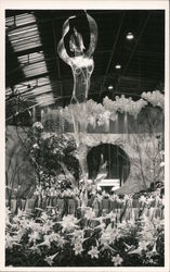 Garden Show Postcard