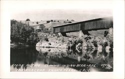 Freak Picture Showing Indian-Bear-Ape Idle Wild Camp Postcard