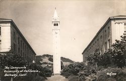 The Campanile - University of California Postcard