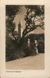 University of California Postcard