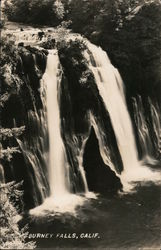 Burney Falls Postcard