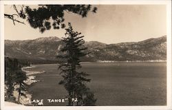 Lake Tahoe Postcard