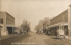 Street Scene, Horse-Drawn Water Wagon Williams, CA Postcard Postcard Postcard