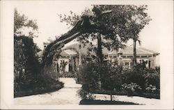 Casa Del Monte, Hearst Castle Postcard