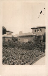 Guest House, Hearst Castle San Simeon, CA Postcard Postcard Postcard