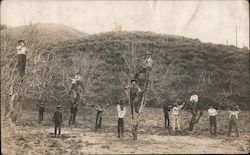 Pruning trees at the proper time, High School Class? Postcard