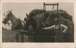 Seeing is Believing - Hay Wagon with Horses California Postcard Postcard Postcard