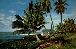 Kona Coastline Postcard