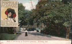 Walk in University of California grounds Postcard