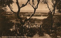 Stanford University From the Hills Postcard