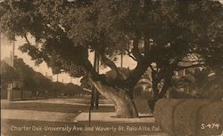 Charter Oak - University Ave and Waverly St. Palo Alto, CA Postcard Postcard Postcard