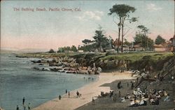 The Bathing Beach Pacific Grove, CA Postcard Postcard Postcard