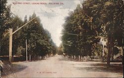 Monterey Street, Looking North Hollister, CA Postcard Postcard Postcard