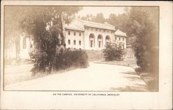 On the Campus, University of California, Berkeley Postcard Postcard Postcard