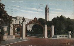 Sather Gate University of California, Berkeley Postcard