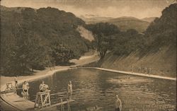 Swimming Pool, University of California Postcard