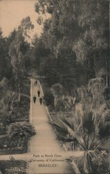 Path to North Gate, University of California Berkeley, CA Postcard Postcard Postcard