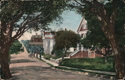 Row of Fraternity Houses Postcard