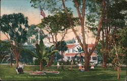 McKinley Park Alameda, CA Postcard Postcard Postcard