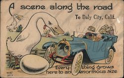 A Scene Along the Road to Daly City Postcard