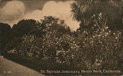 St. Patrick's Seminary Postcard