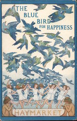 The blue bird of happiness Haymarket Birds Postcard Postcard Postcard