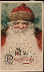 Santa Claus with Long White Beard Postcard Postcard Postcard