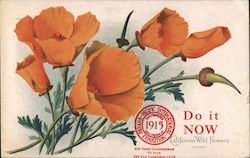 Do it Now 1915 Panama-Pacific Exposition Postcard Postcard Postcard