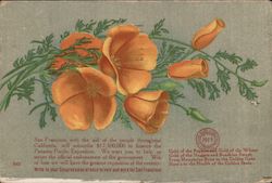 Booster California Poppies, $17M PPIE Adv. 1915 Panama-Pacific Exposition Postcard Postcard Postcard